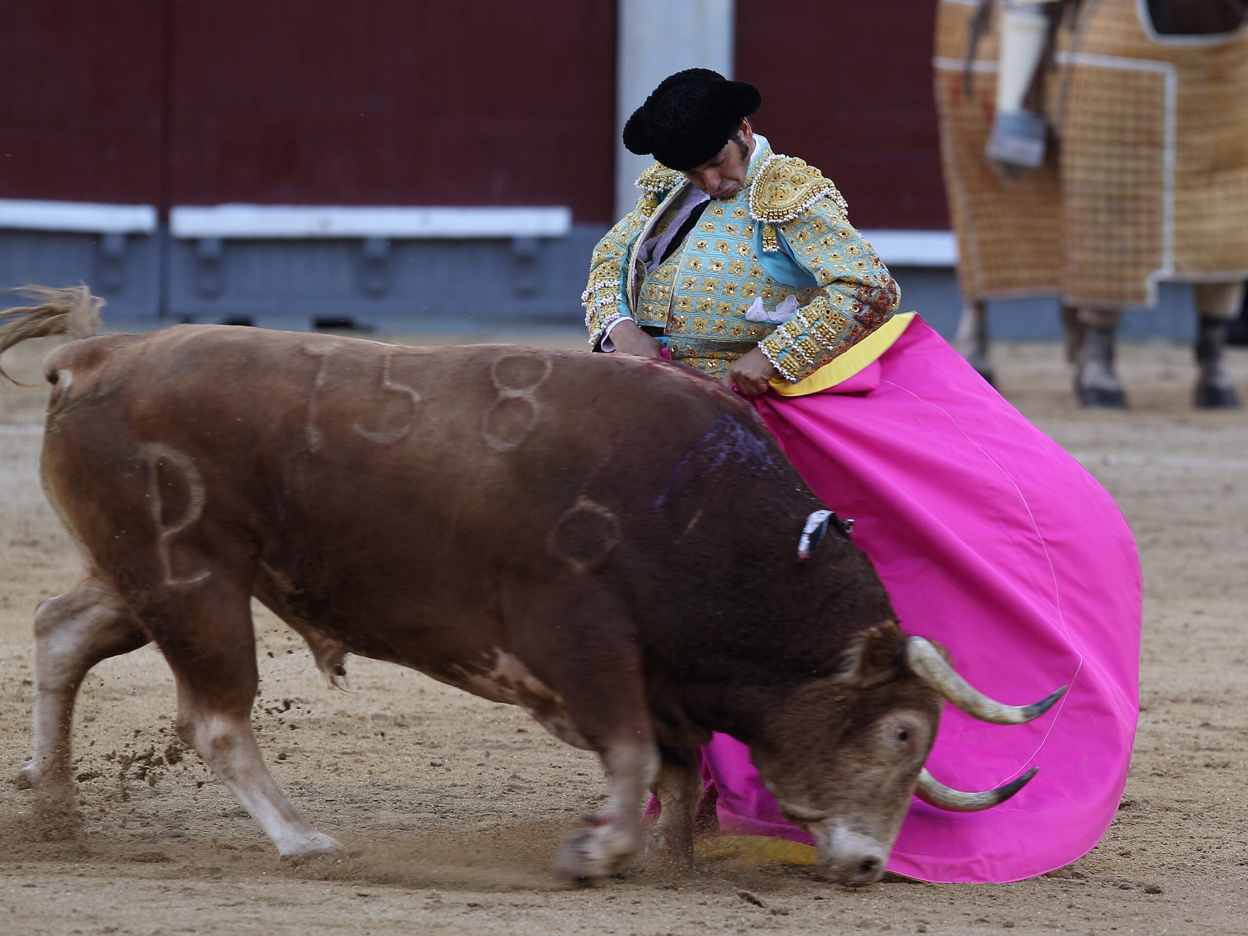 Morante de la Puebla