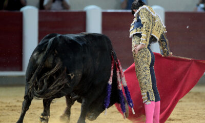 Verónica de Pablo Aguado
